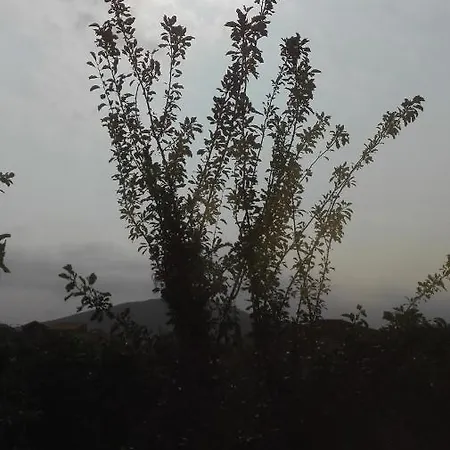 Panos And Chrisas House