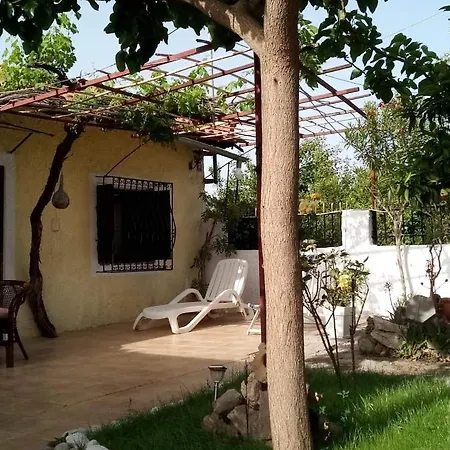 Casa vacanze Panos And Chrisas House *