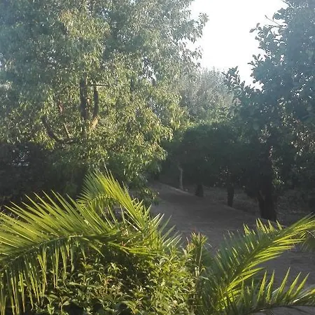Panos And Chrisas House Drepano (Argolis)