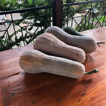 Panos And Chrisas House Drepano (Argolis)