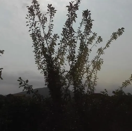 Panos And Chrisas House