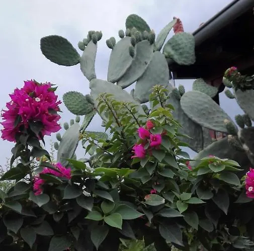 Panos And Chrisas House *