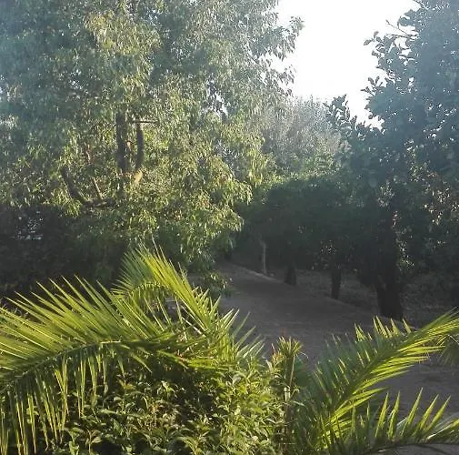 Panos And Chrisas House Drepano (Argolis)