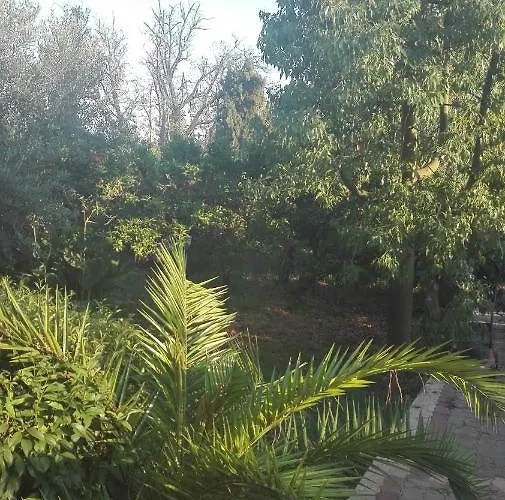 Panos And Chrisas House