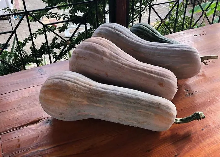 Panos And Chrisas House Drepano (Argolis)